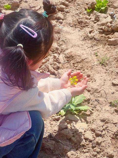 微信图片_20250324094748 微信图片_20250324094748